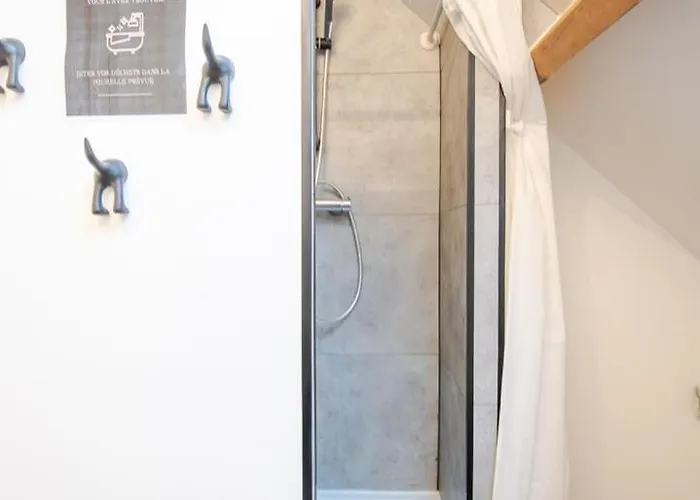 Le Pic-paris 3* 图尔