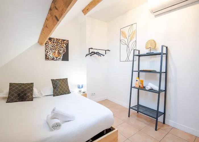 Le Pic-paris Guest house Tours