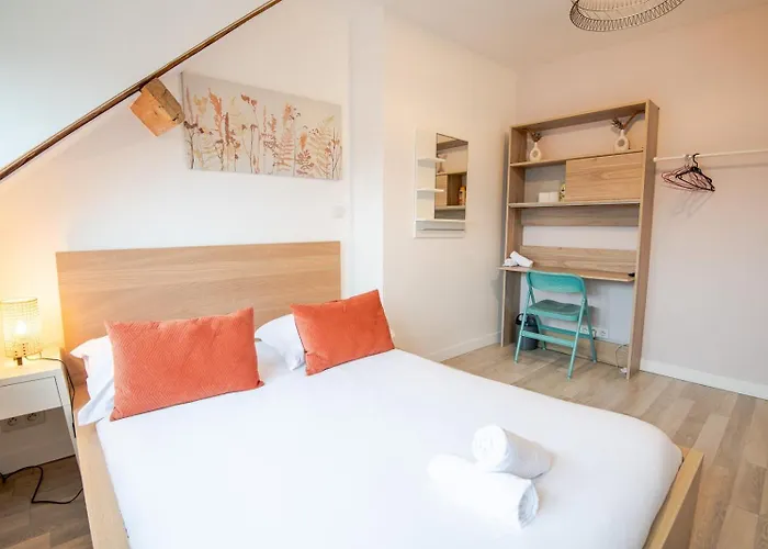 Le Pic-paris 3* 图尔