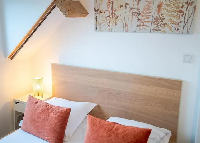 Le Pic-paris 招待所