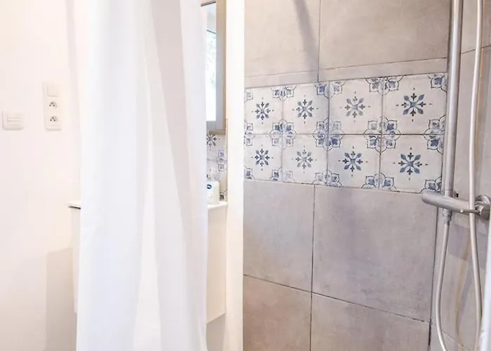 Le Pic-paris 3* 图尔